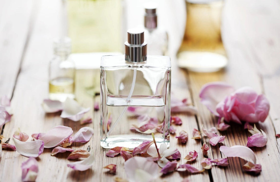 Understanding Fragrance Notes: A Beginner’s Guide - INSANE PERFUMES UK